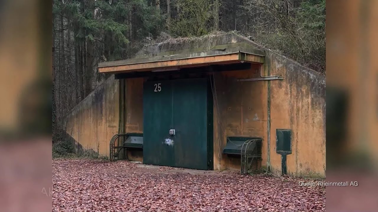Alt-Munition im Wald entsorgen? Rheinmetall sorgt für Diskussion