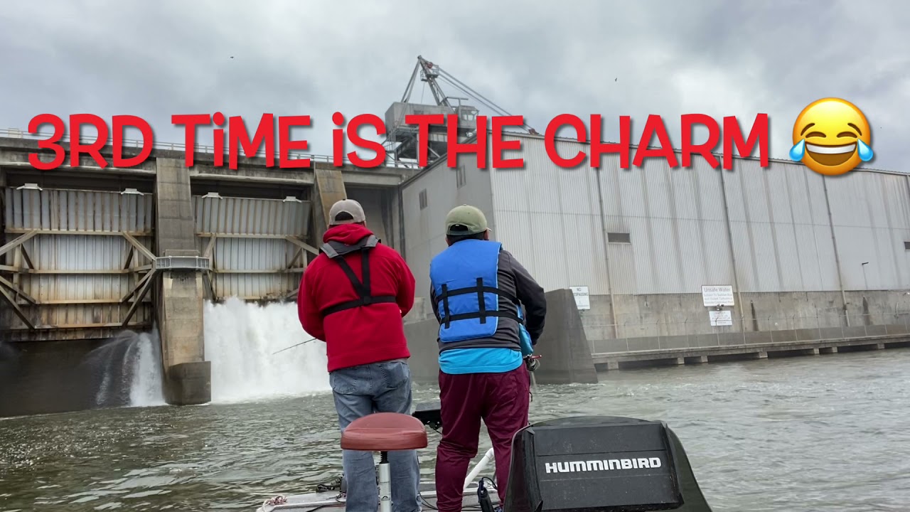 Badin Lake tuckertown dam fishing!!!! White bass action was non stop!!!! Where is all the crappie?