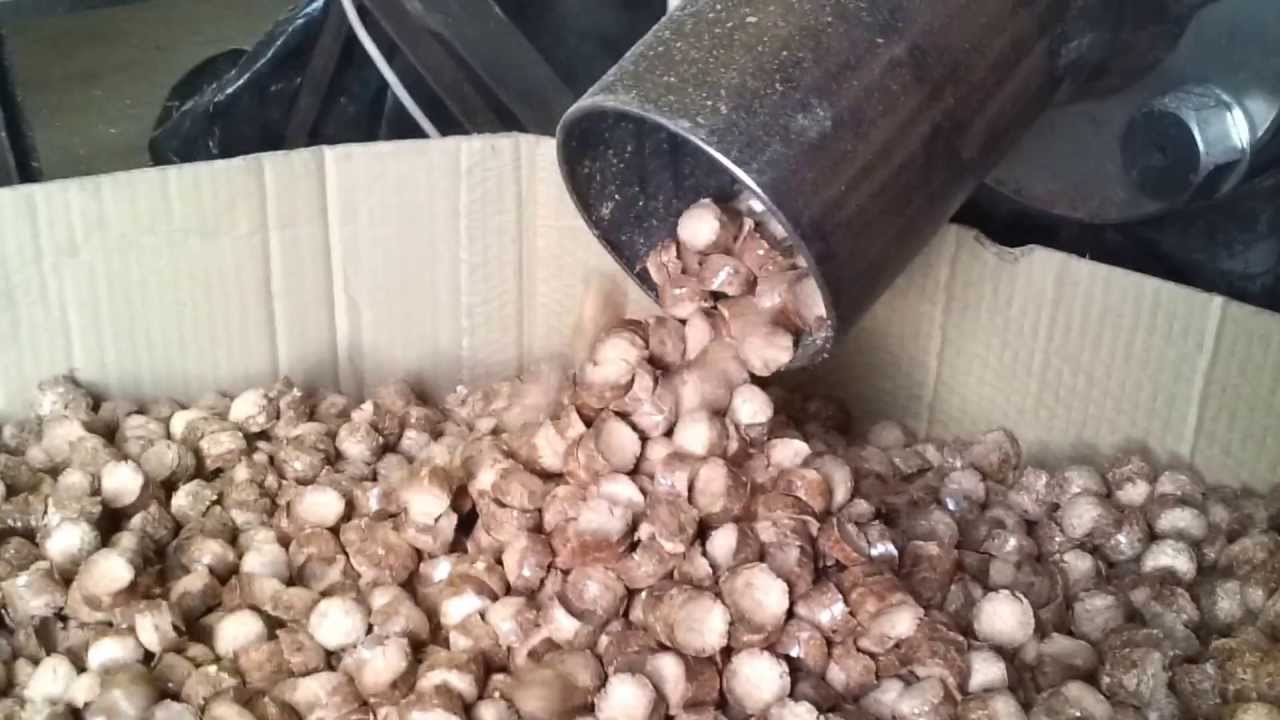 pellets Ø 20-22 mm, sawdust beech, 465-540 kg/h, pellets with briquetting machine BT60 - trocina