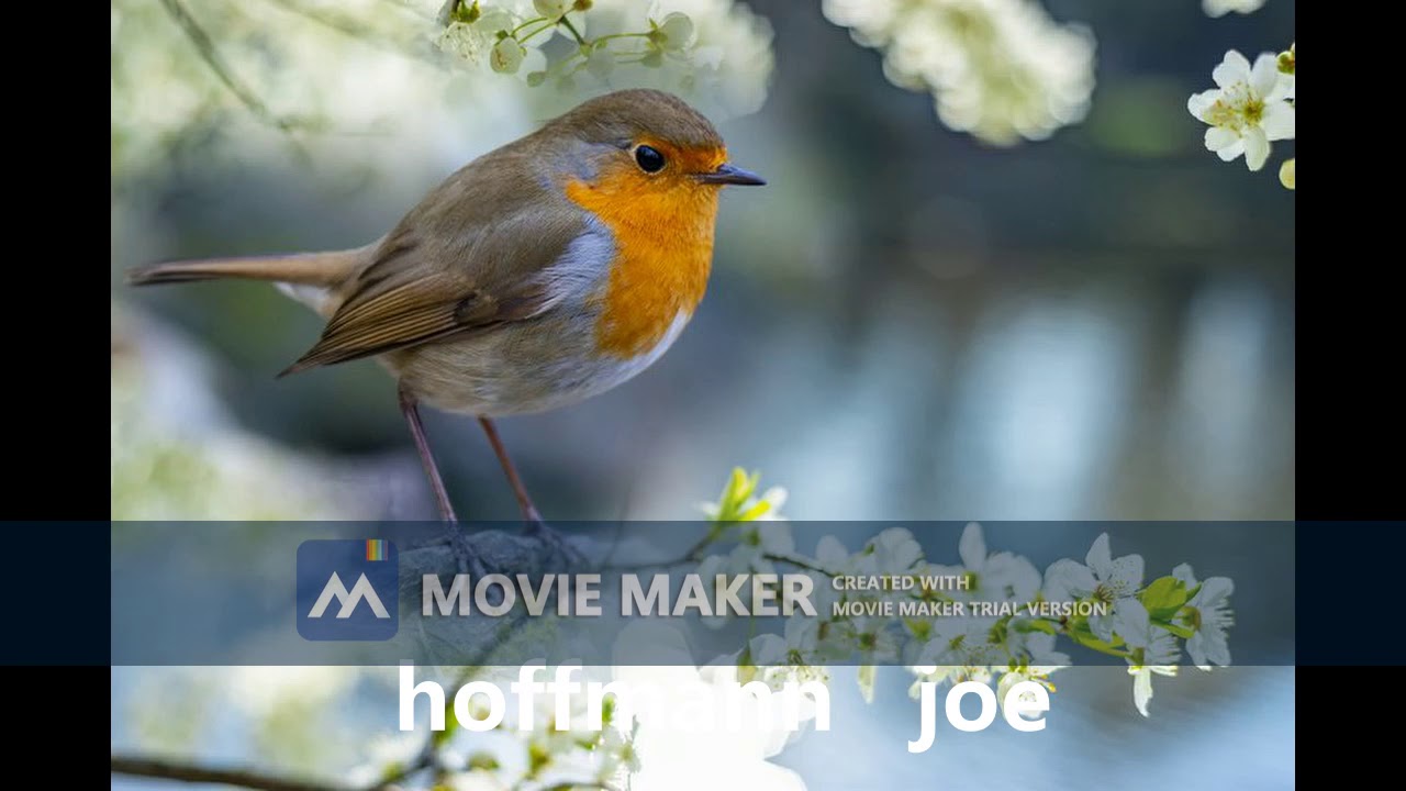 Hoffmann Joe Composition