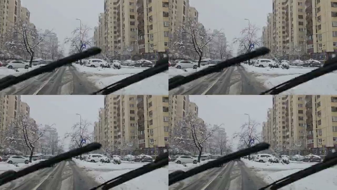 🌲Tuzla 🌲
