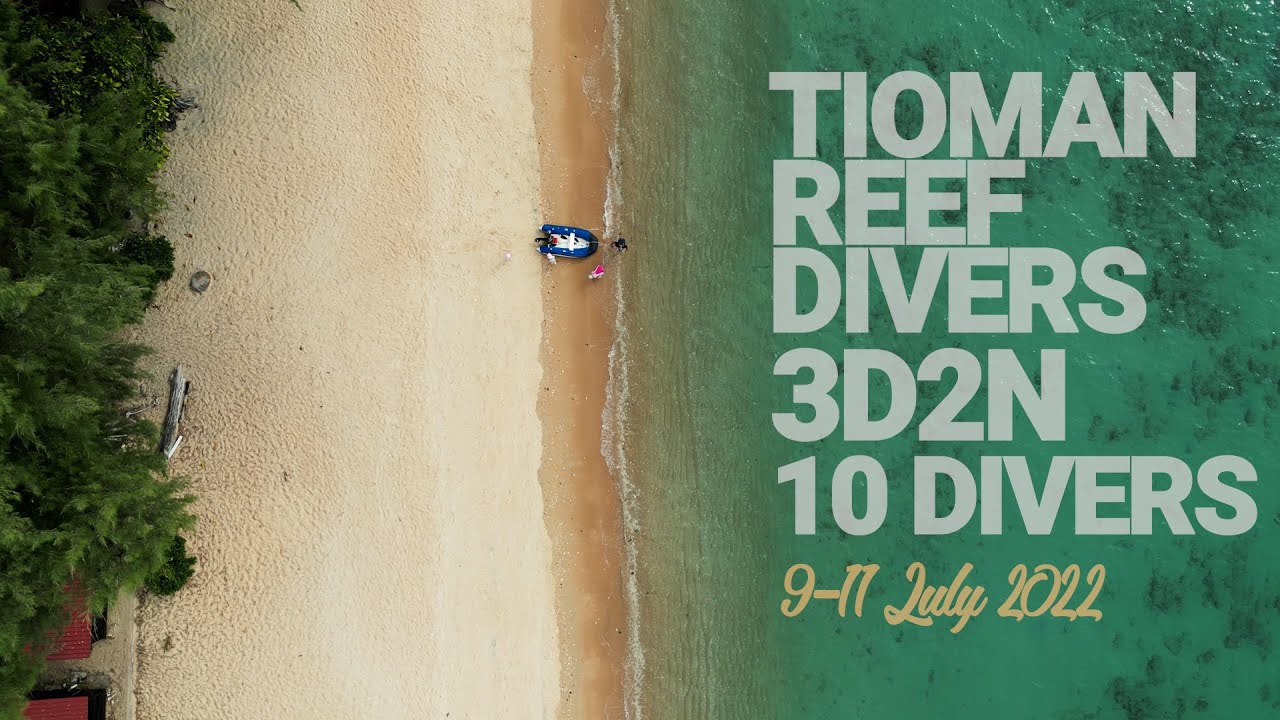 Why do we keep coming back for SCUBA DIVING at Tioman?