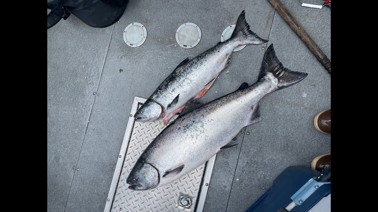 2025 Neah Bay Salmon Opener