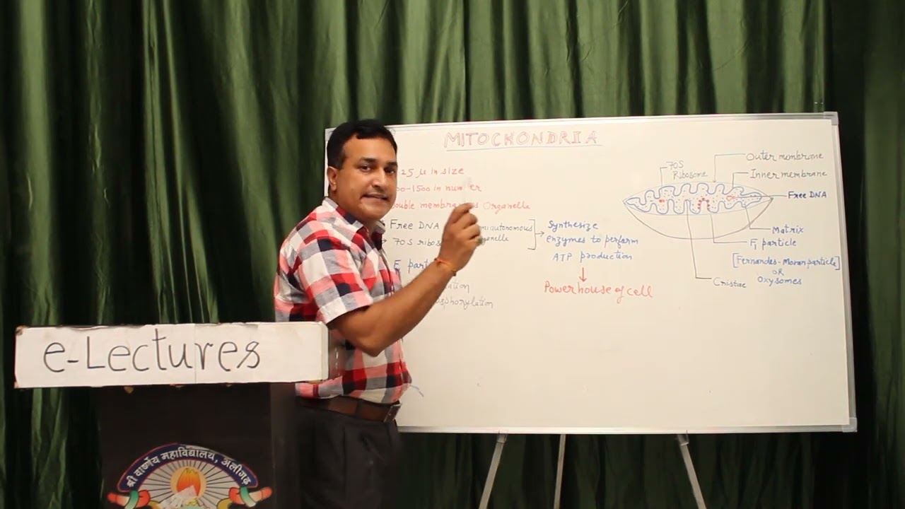 e lecture on mitochondria by Dr Harendra Nath Sharma  1080 X 1920