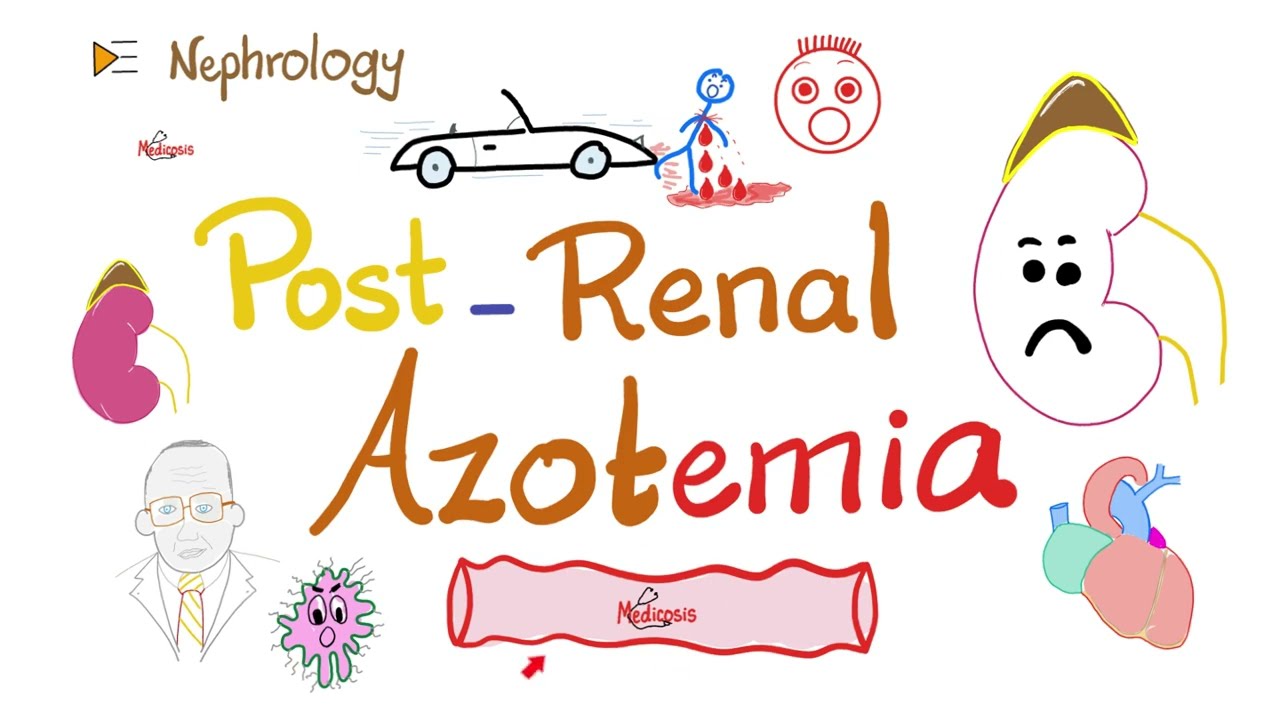 Post-renal Azotemia - Acute Renal Failure (Acute Kidney Injury) - Acute Renal Azotemia - Nephrology