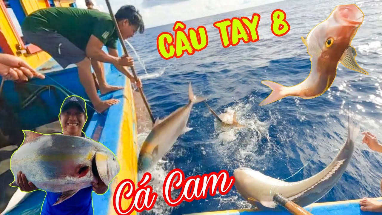 CÂU TAY 8_Phát Hiện Cá Lớn Tài Công BI Cho Bủa Câu Lúc 4h Sáng_Ngư Dân Dầm Mưa Kéo Cá 
