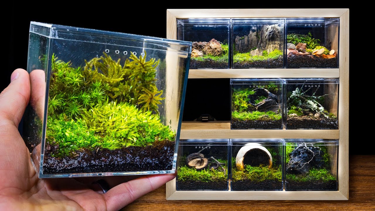 DIY Mini Modular Moss Cubes (9 Worlds Terrarium)