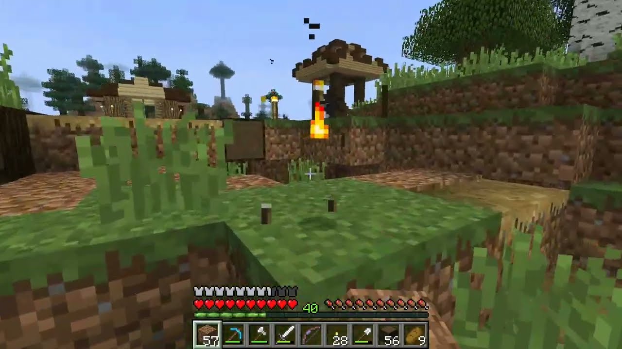 Minecraft #509