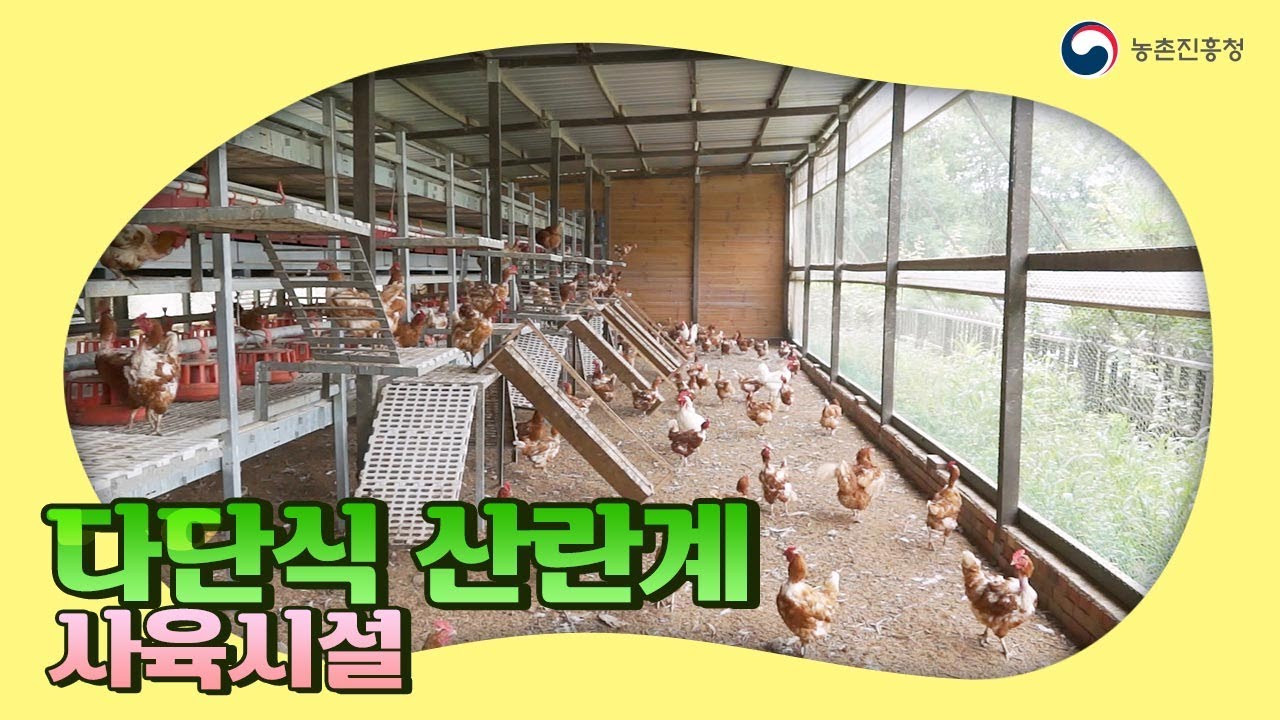 [농업기술동영상] 다단식 산란계 사육시설