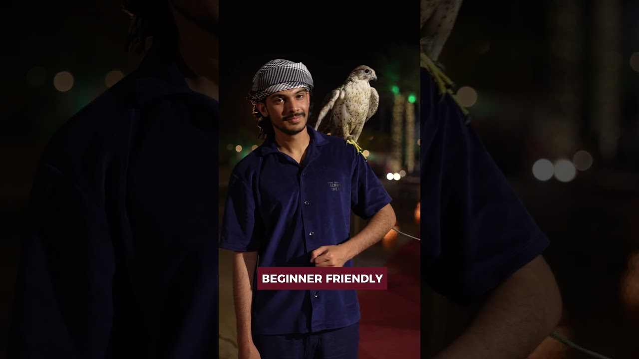 Capture Majestic Falcons in Dubai | Falcon Photography Experience with Trawey Tours.