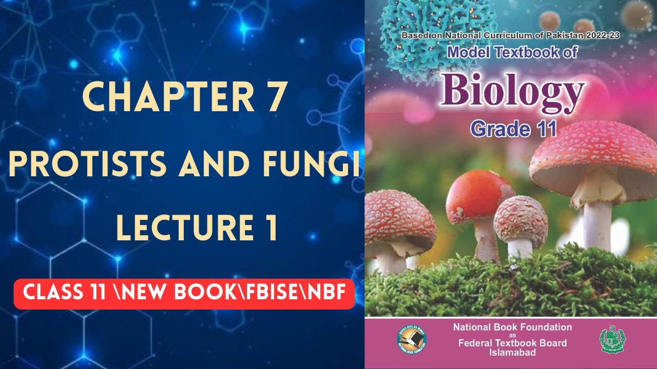 PROTISTS AND FUNGI | LECTURE 1 | CHAPTER 7 | CLASS 11 | BIOLOGY | NBF | FEDERAL BOARD | NEW BOOK