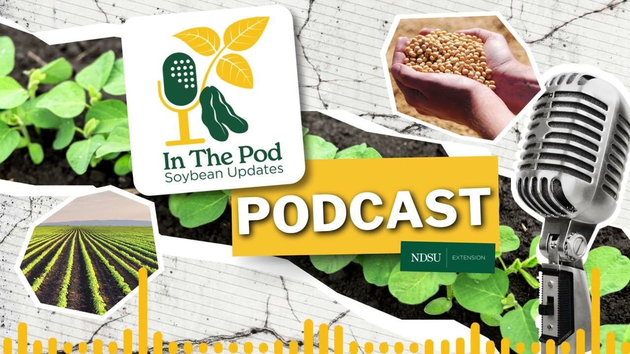 Yield, Traits, and Genetics: A Soybean Breeding Update - In the Pod Soybean Update