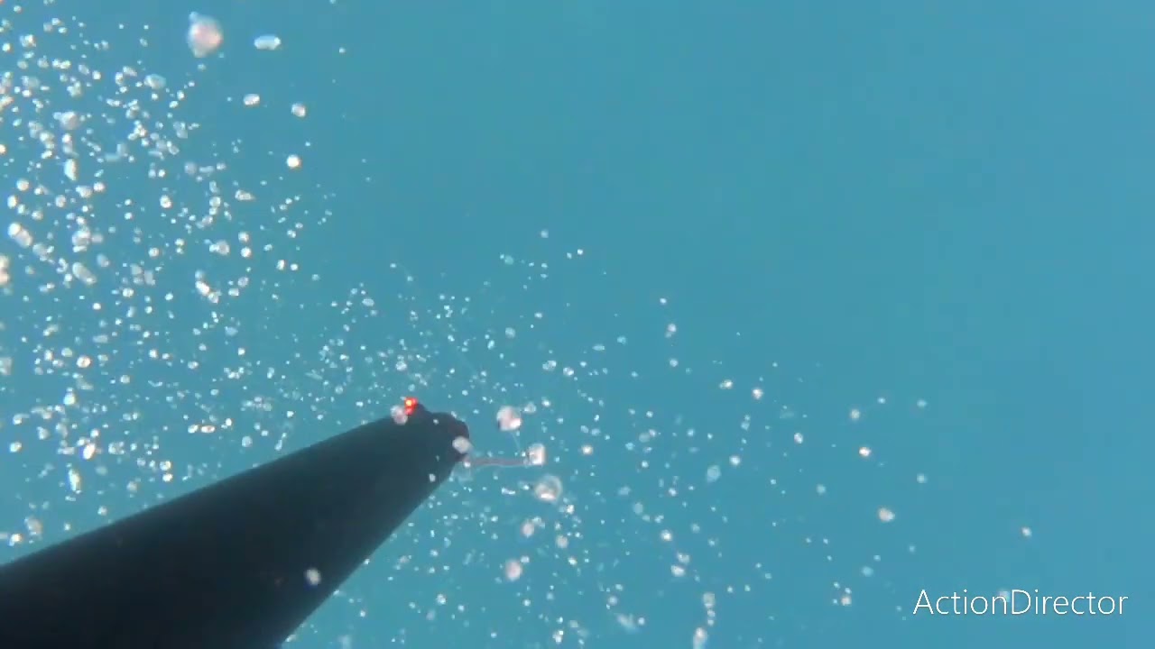 Pescasub: Ricciola all'aspetto (MASSYSUB)