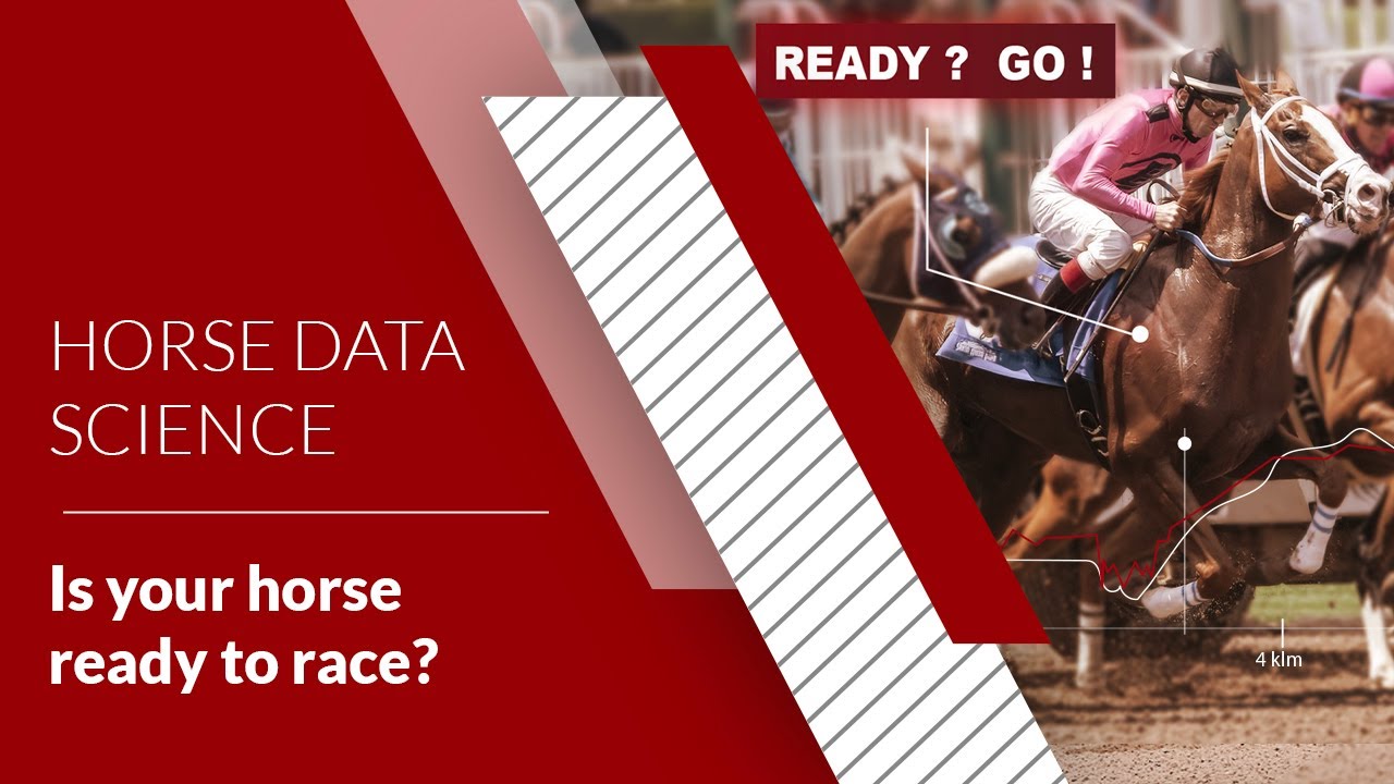 EQUIMETRE - Is your horse ready to race? 🏇