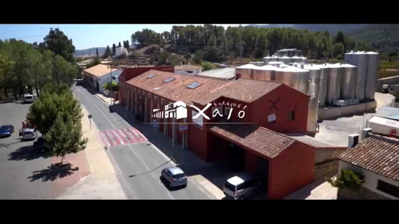 BODEGAS XAL&Oacute; (Corporativo)