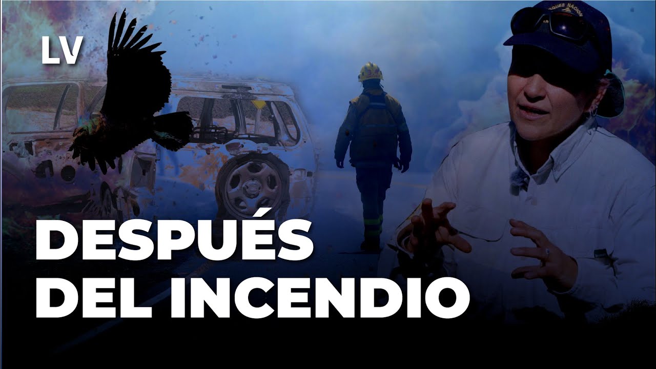 Incendio en la Quebrada del Condorito: causas y consecuencias