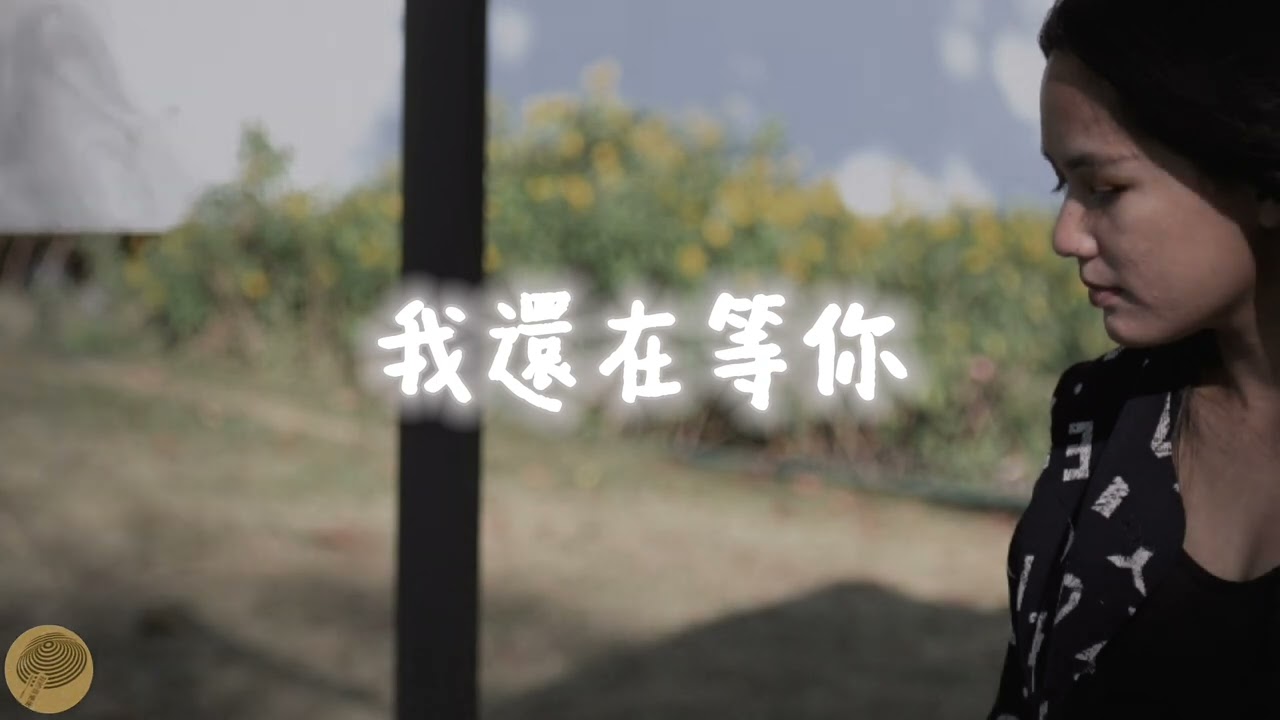 🎧《我還在等你》Official Lyric Video｜獻給還沒放下的你 #我還在等你 #中文歌曲 #華語抒情 #心碎情歌 #等不到的人 #夜深人靜的音樂 #思念成疾 #深夜歌單 #音樂共感