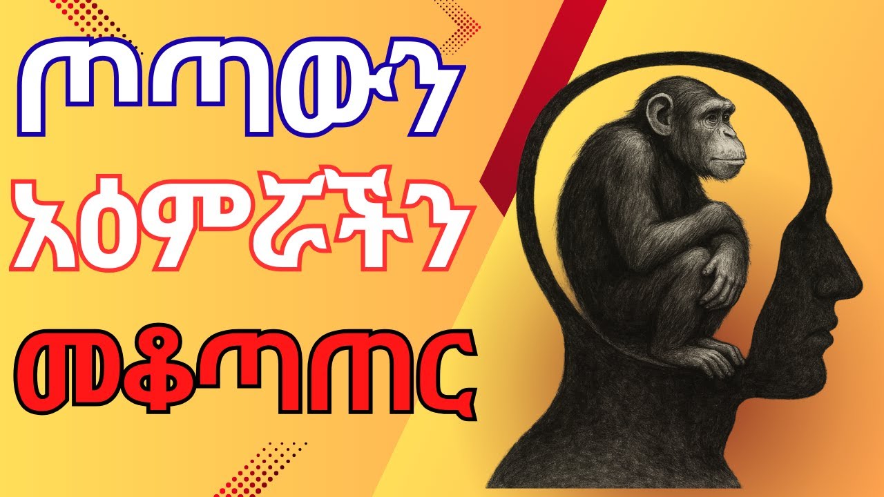 አዕምሯችን ውስጥ ያለውን ጦጣ መምራት Managing the Chimp in Our Mind