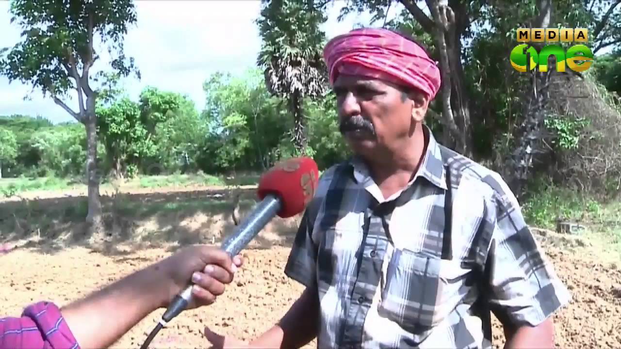 No summer rain in kerala: farmers are  in suspicion