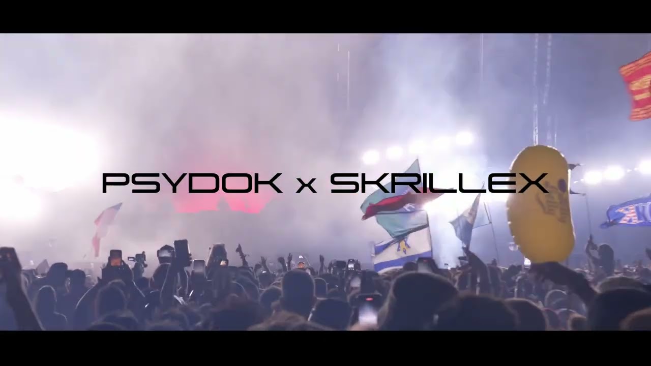 Skrillex & Psydok - Yo Yan (Festival Mix)