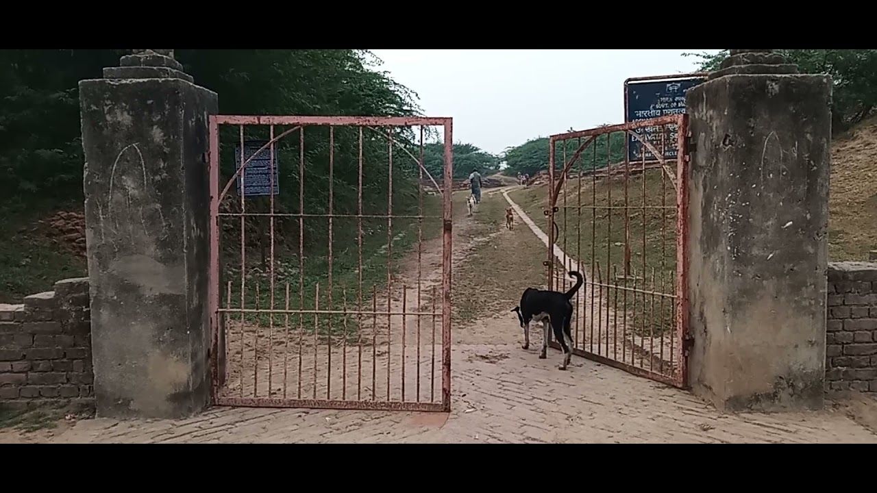 Ancient history of Bheeta Ghoorpur Prayagraj /Boudh VIhar  ! Indian history Moury vansh  to Guptkal