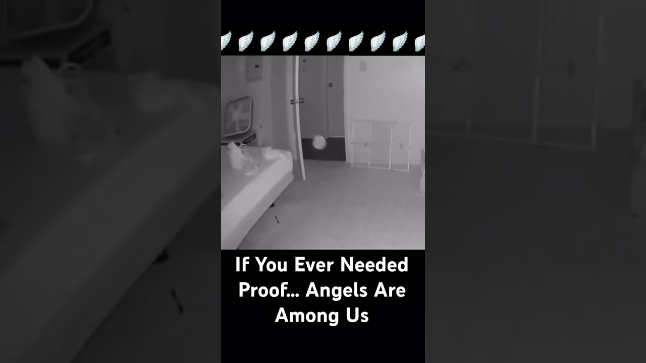 Heaven Still Sends Signs🕊️ #dying #angel #lifeafterdeath #signfromheaven #sign #shorts #testimony