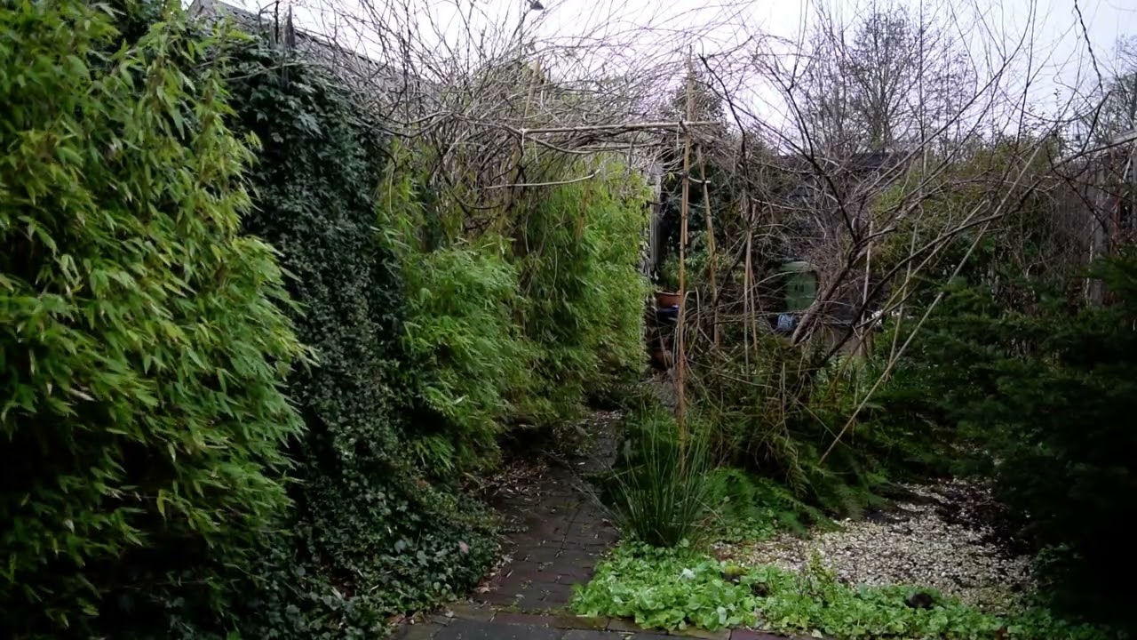 The boring Garden #082