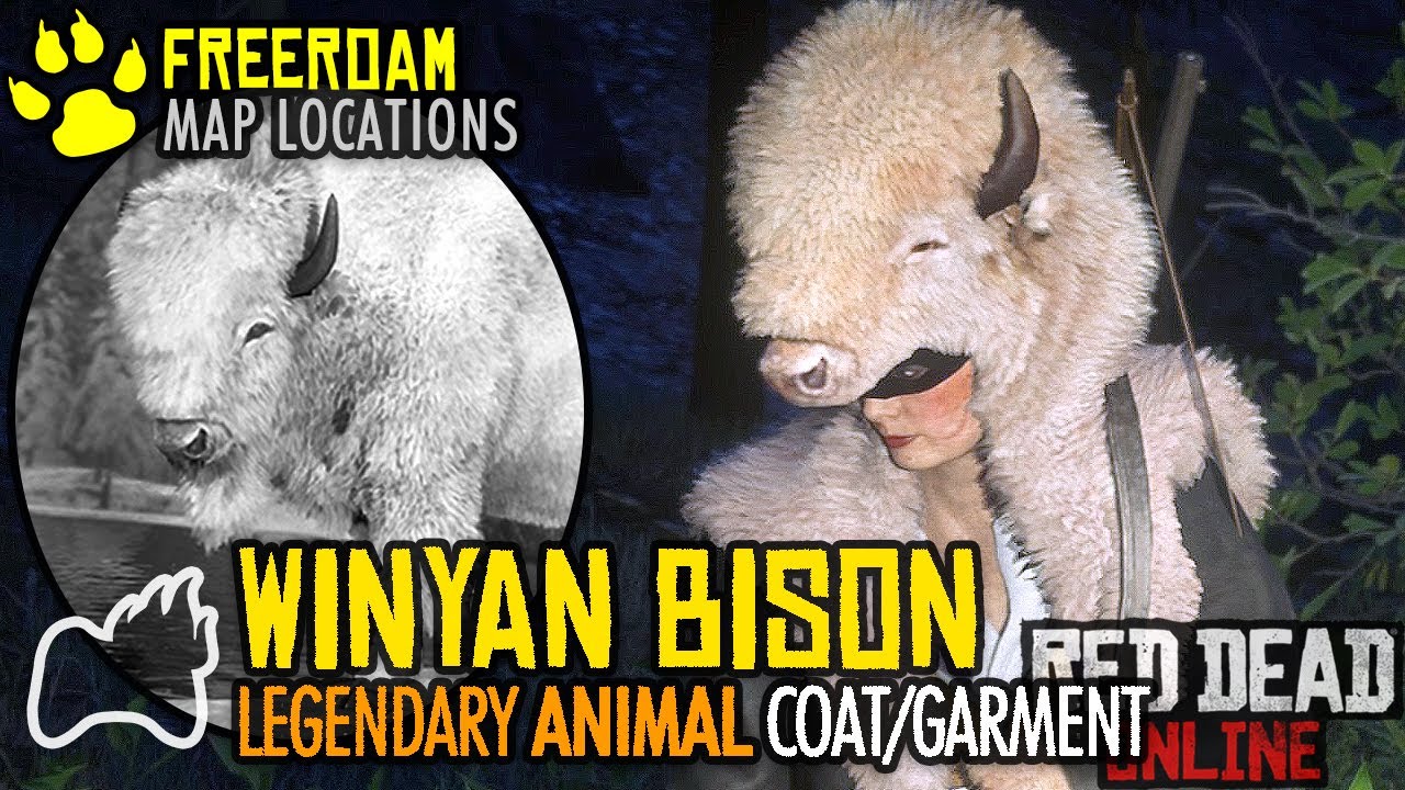 RED DEAD ONLINE How to Get the Legendary WINYAN BISON Coat Garment Naturalist Map Locations