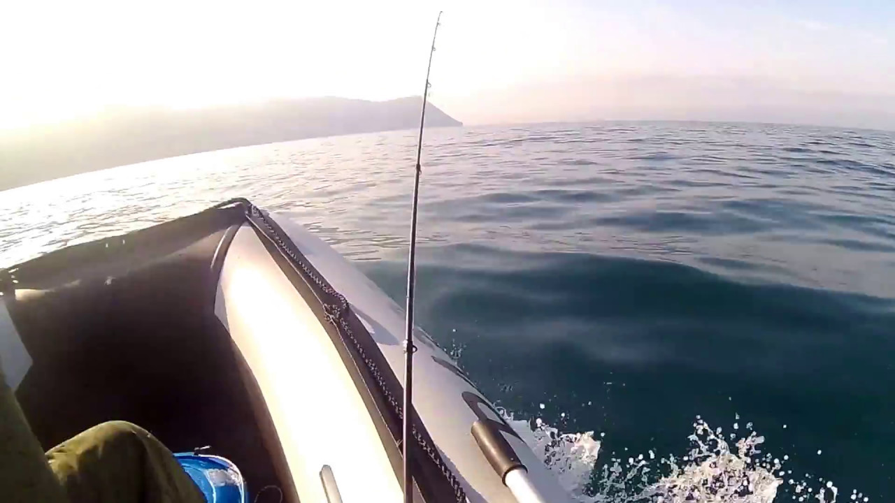 Polar Bird 360M + Yamaha 15 FMHS  (1)