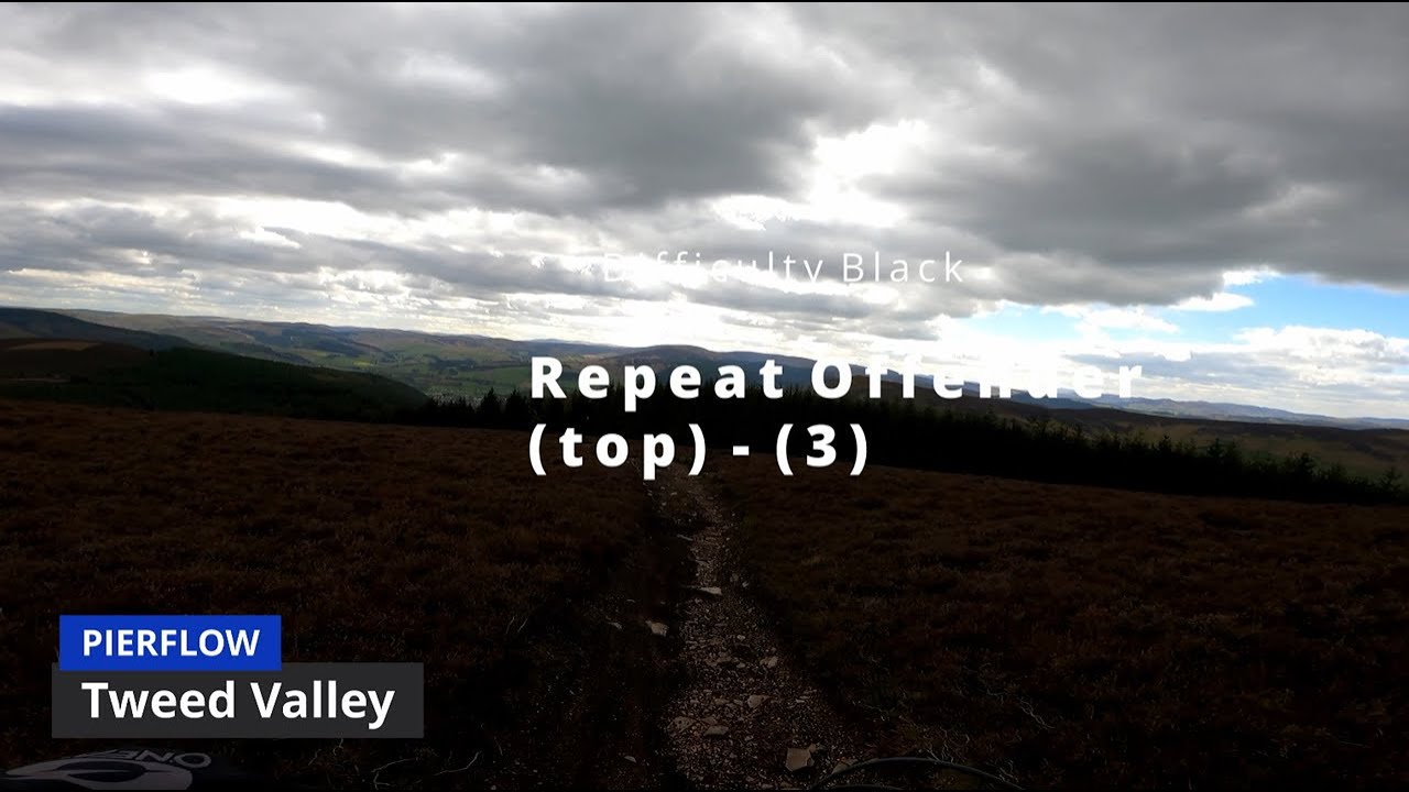 Repeat Offender (top) - (3) | GOLFIE CLASSIC