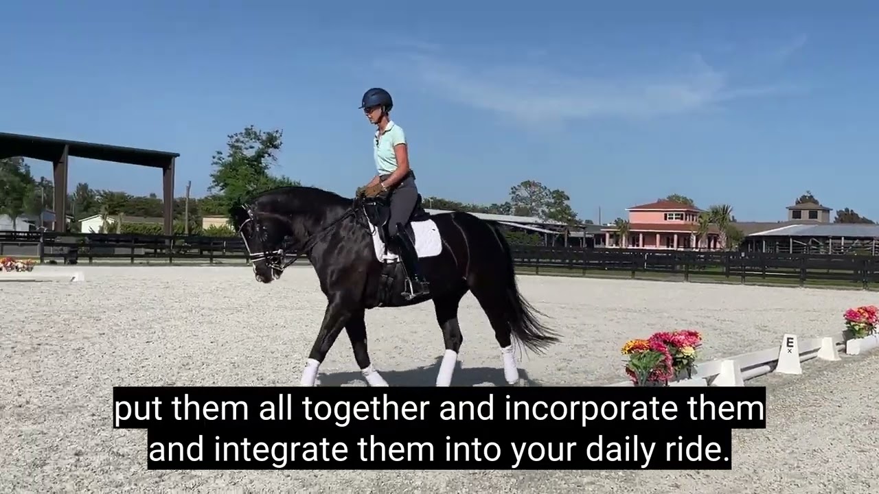 SP Half Pass to Leg Yield with Raphi SP