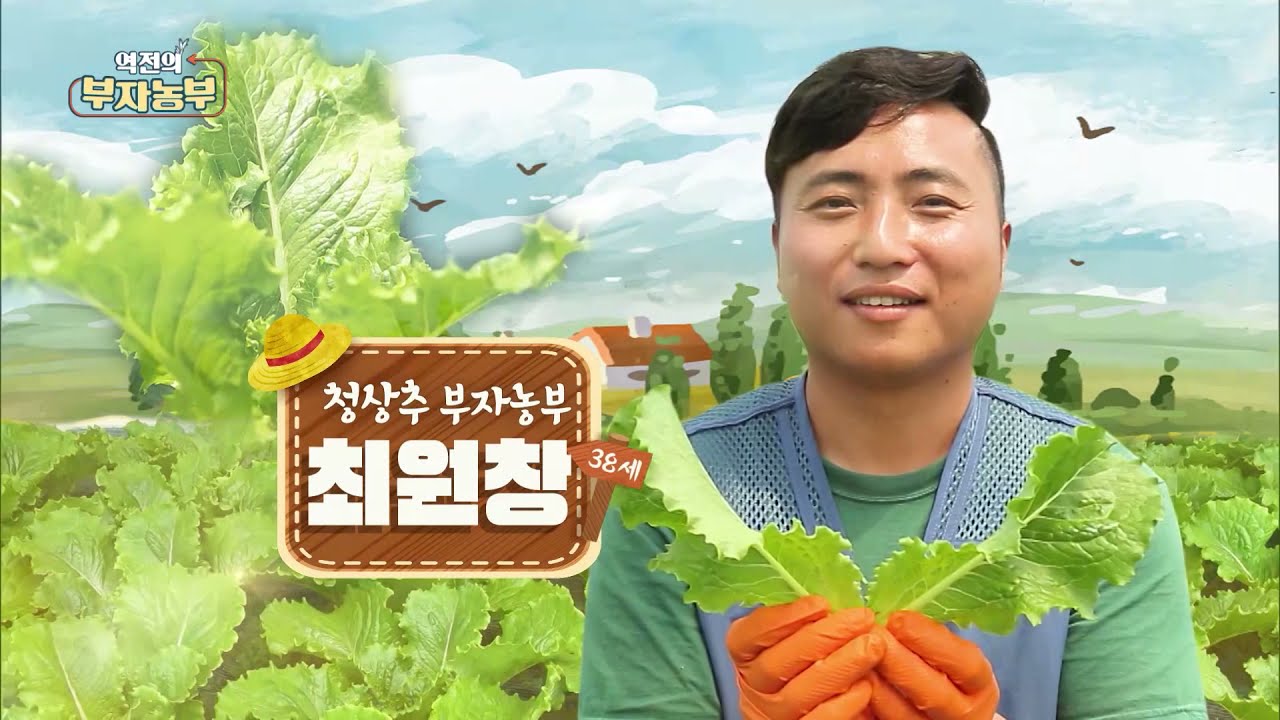 [149회] 1,000평 청상추! 연매출 1억 7천!