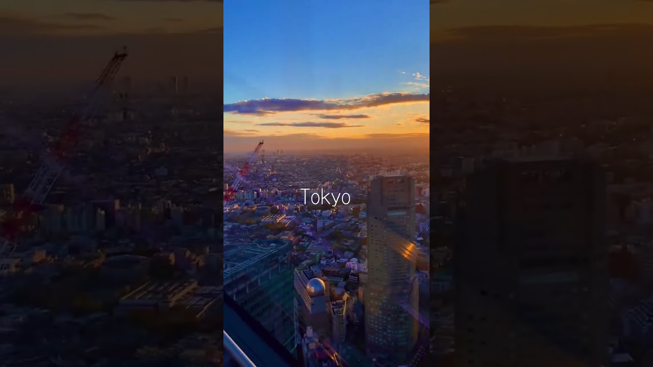 IMPACTANTE VISTA DE TOKYO | Aprende japon&eacute;s y viaja a Jap&oacute;n #aprendeidiomas #clasejapones