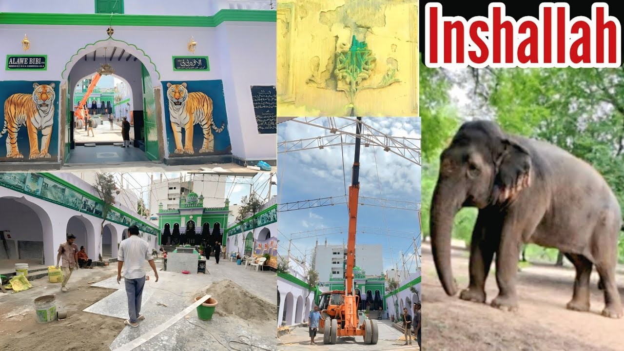 History Of Bibi Ka Alawa Muharram Arrangement 