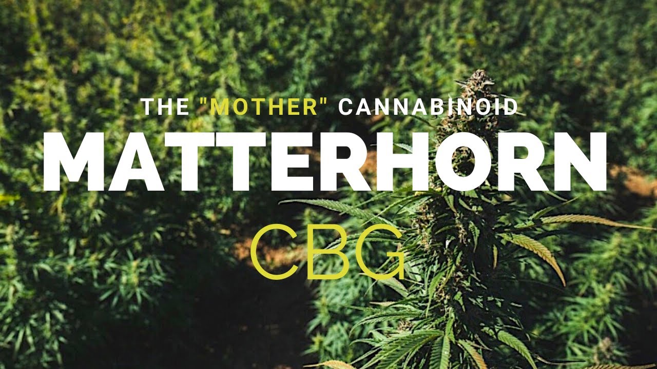 Matterhorn CBG Hemp Seeds Video