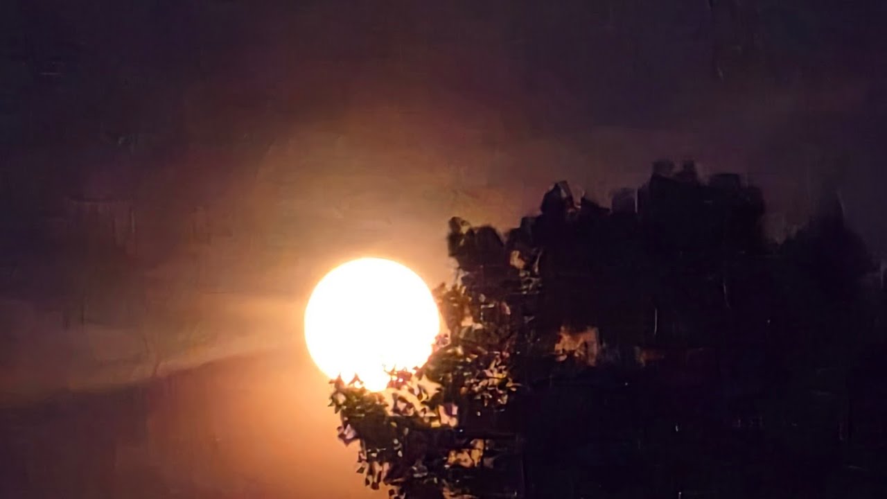 Full Spectrum Release Harry Potter Virgo Sapphire Autumn Leaves Sage