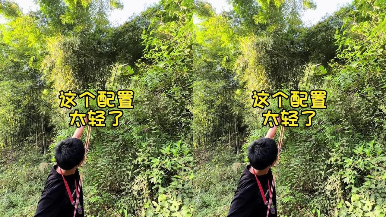 这样玩比较解压了#树林 #大拉