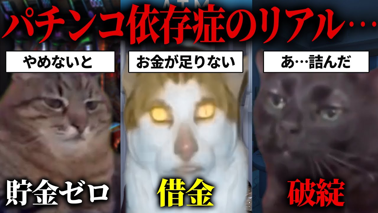 【総集編】借金したパチンコ依存症のリアルな話【猫ミーム・猫マニ】
