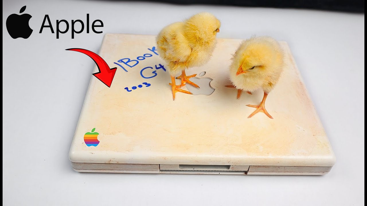 Восстановление и модернизация последнего винтажного iBook от Apple — ретро-компьютер #asmr