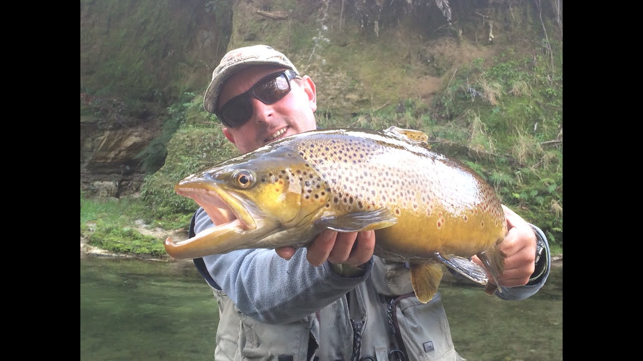 Fly Fishing NZ Spring Creeks...
