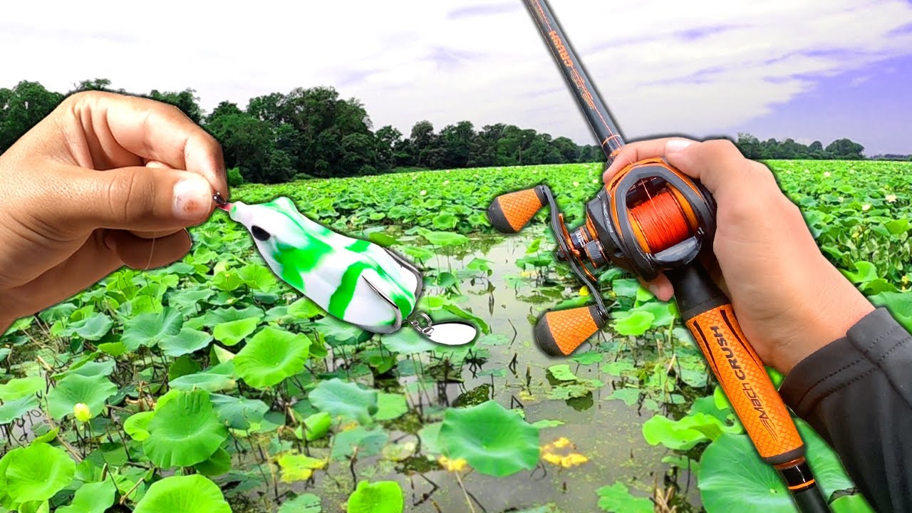 1v1 Northern Snakehead Fishing Tournament!! (Topwater)