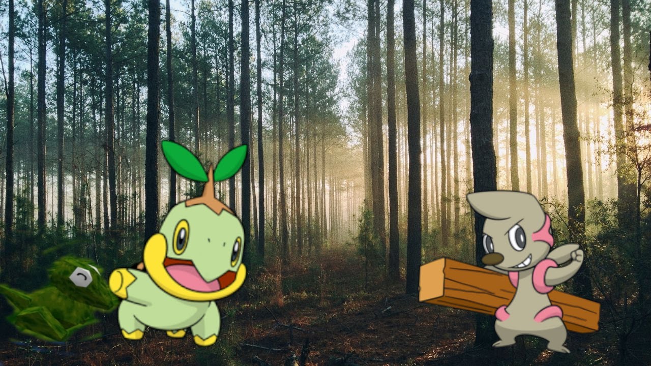 THE BATTLE OF THE BOOSTERS! PPDL Week 5