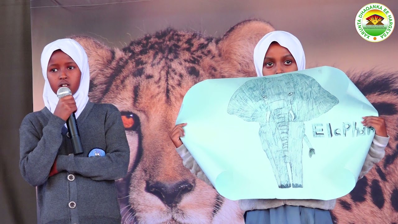 Dugsiyaddii kasoo Qaybgalay Barnaamijka Harimicadka (Bright Academy,Elm School,Sci-Tech)