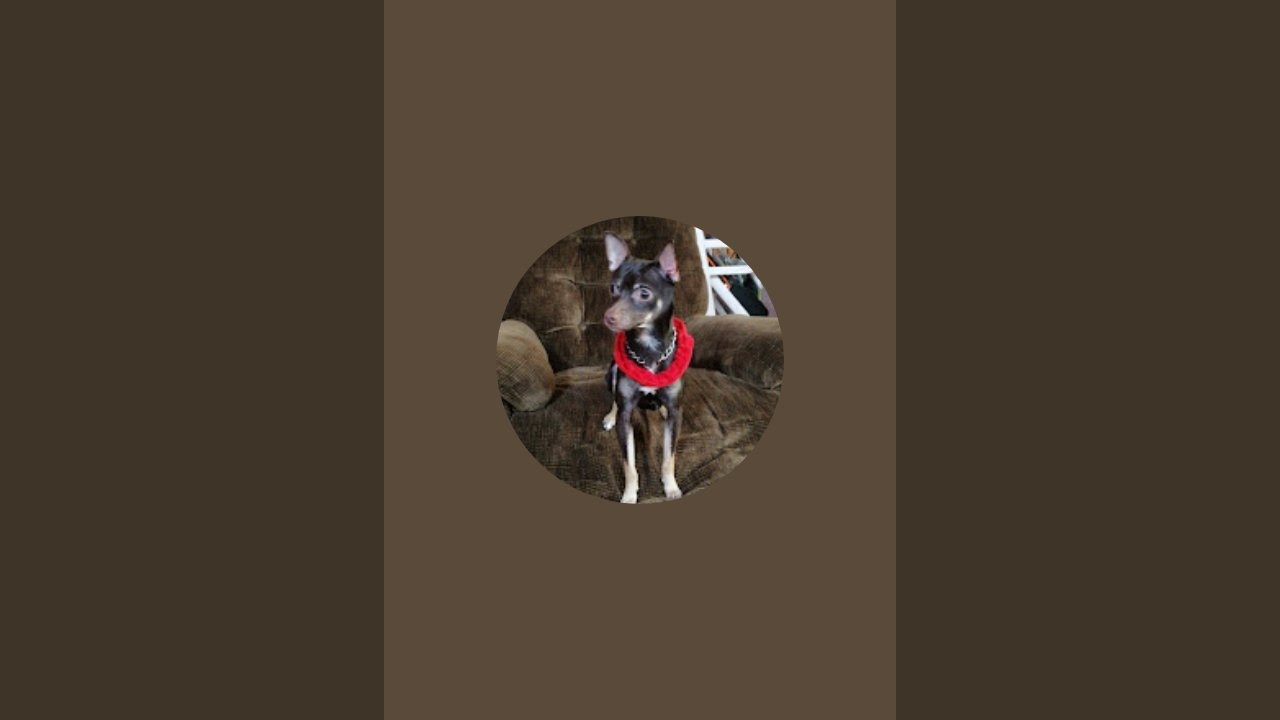 عود لسانك على قول كل الأحاديث الجميلة ، فلسانك هو المظهر الخارجي لقلبك. 🤍