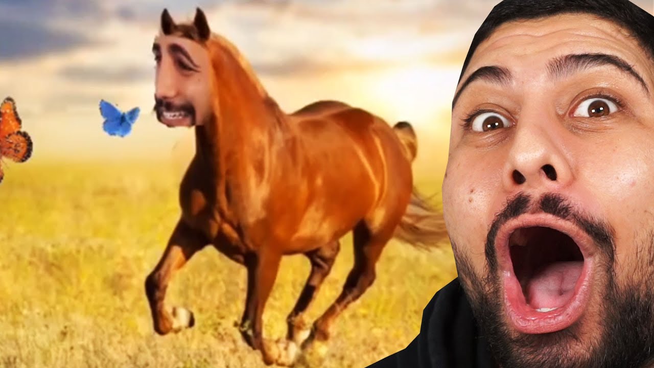 Ich reagiere auf meine Instagram Memes (LACHFLASH)!