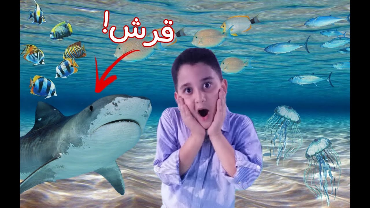 هشام في متحف الشارقة للأحياء المائية||Hisham in sharjah aquarium