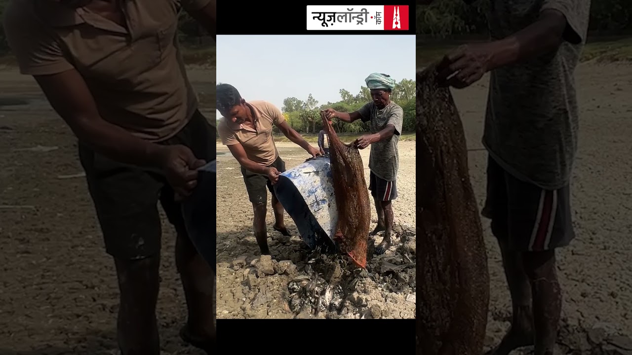 दिल्ली की संजय झील में मछलियों की मौत के लिए कौन जिम्मेदार?