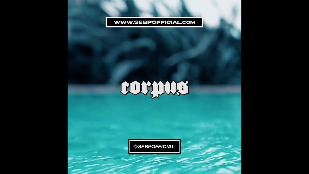 CORPUS [Prod. by SEB P] | FF7 Type Instrumental *2024*