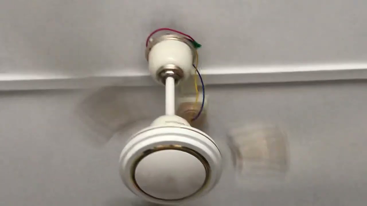 Sunflame Sapphire 1200mm and Havells Ambrose 1200mm ceiling fans