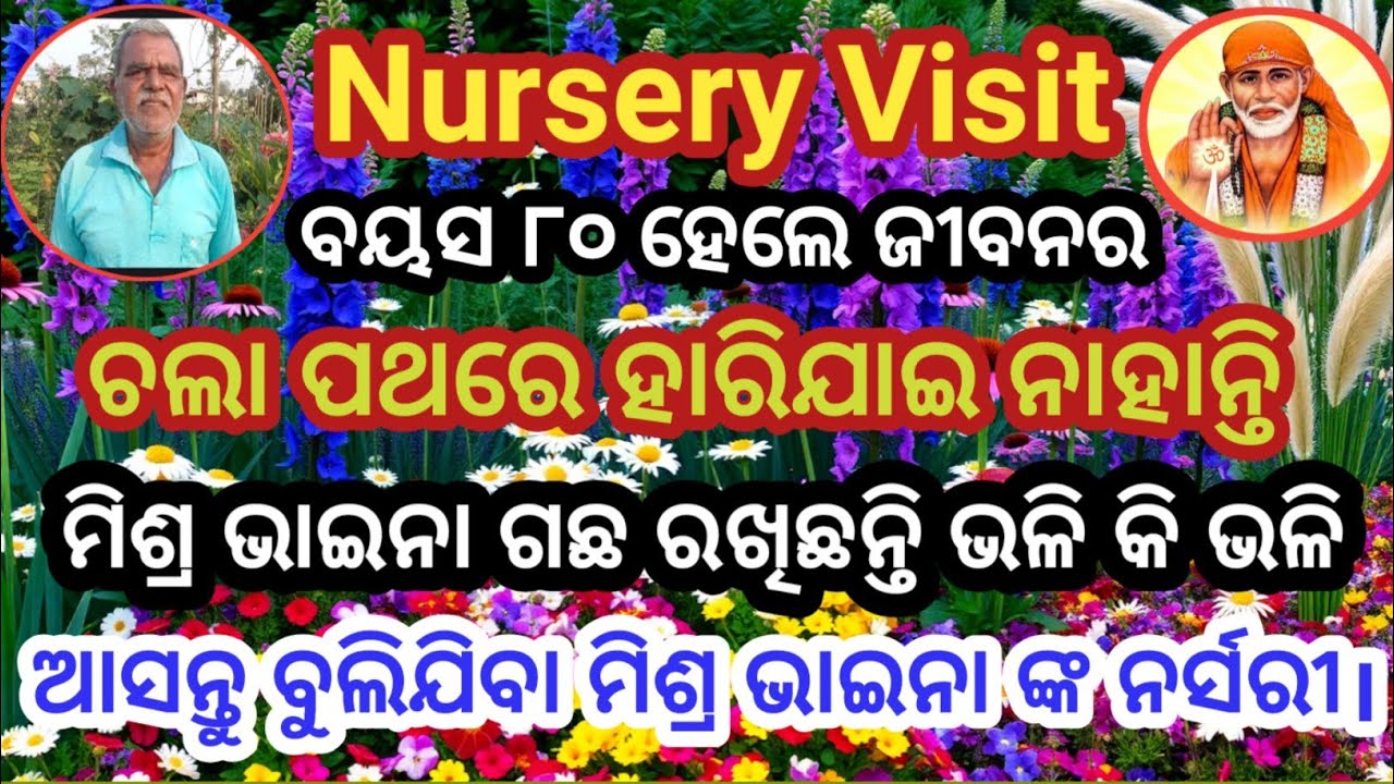 🌸Garden Nursery Visit & New Plants Collection. 🌱A Beautiful Day at the Plant Nursery Flower Nursery.